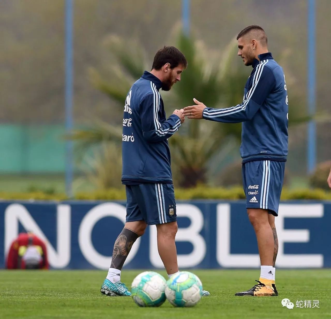 lol台服官网首页地址-尼斯训练开放日，今夜复出首秀引欢呼，意大利杯在即，赛程密集仍需轮换的简单介绍